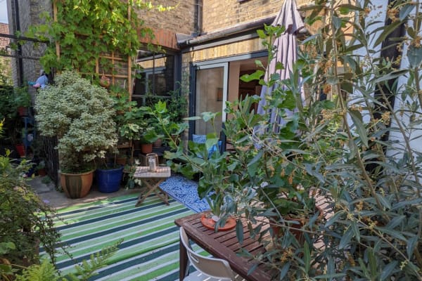 House sit in Blackheath, United Kingdom