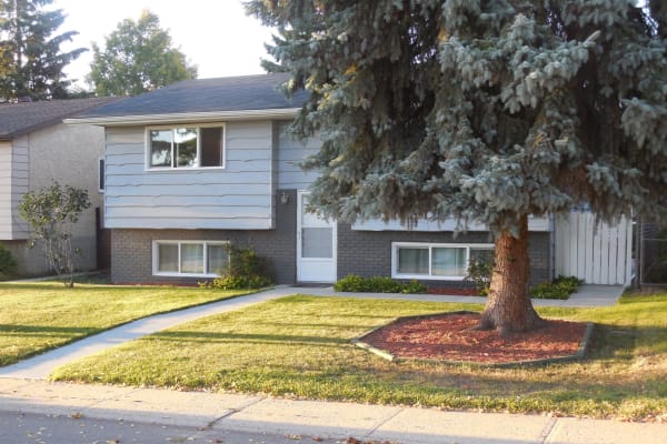 House sit in Edmonton, AB, Canada