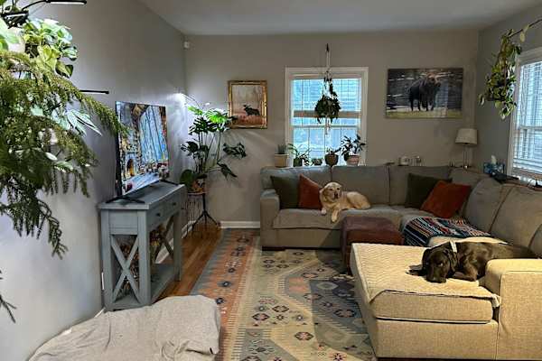 House sit in Idaho Falls, ID, US