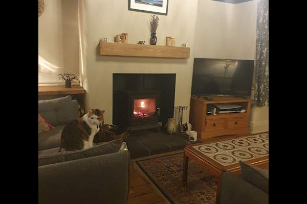 House sit in Heaton Norris, United Kingdom