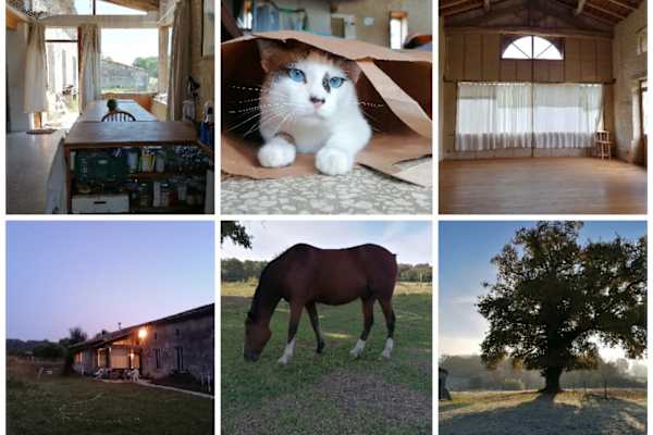 House sit in Montendre, France