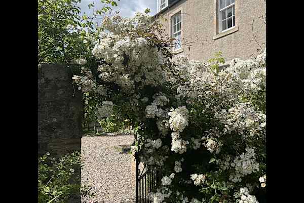 House sit in Pittenweem, United Kingdom