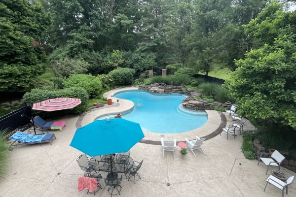 House sit in St. Louis, MO, US