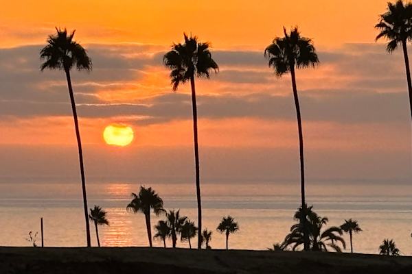 House sit in Encinitas, CA, US