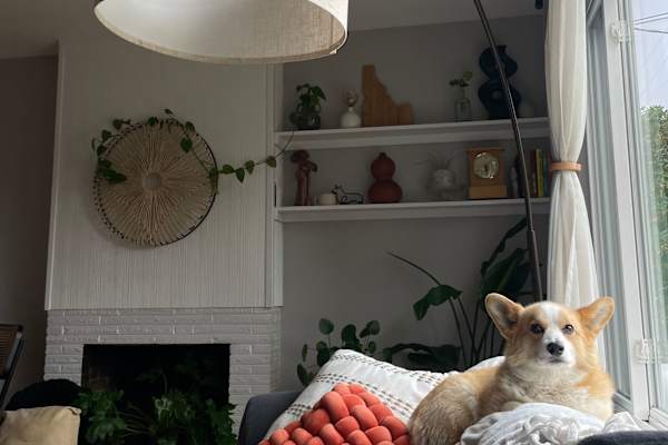 House sit in Tacoma, WA, US