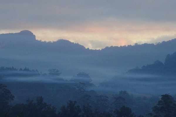 House sit in Nimbin, NSW, Australia