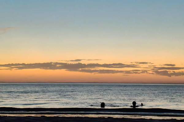 House sit in Adelaide, SA, Australia