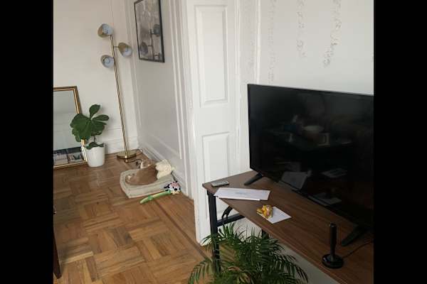 House sit in New York City, NY, US