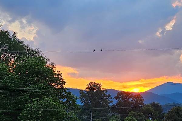 House sit in Waynesville, NC, US