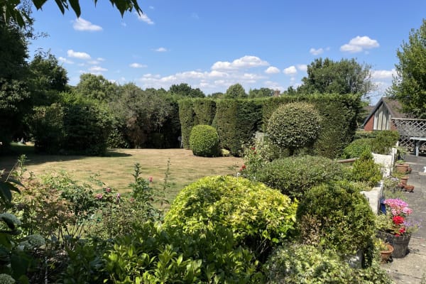 House sit in Newbury, United Kingdom