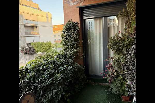 House sit in Mairena del Aljarafe, Spain