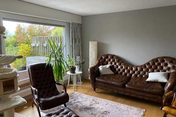 House sit in Luzern, Switzerland