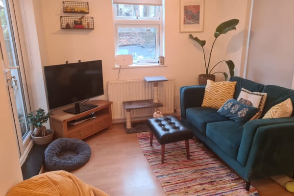 House sit in London, United Kingdom