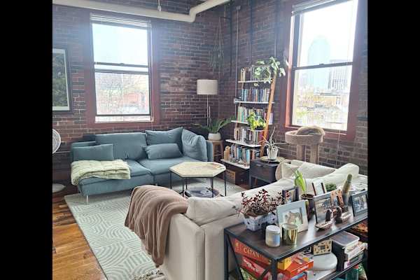 House sit in Boston, MA, US