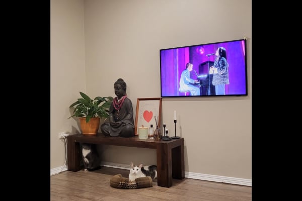 House sit in Sydney, NSW, Australia