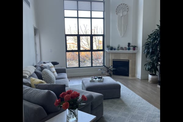 House sit in San Mateo, CA, US
