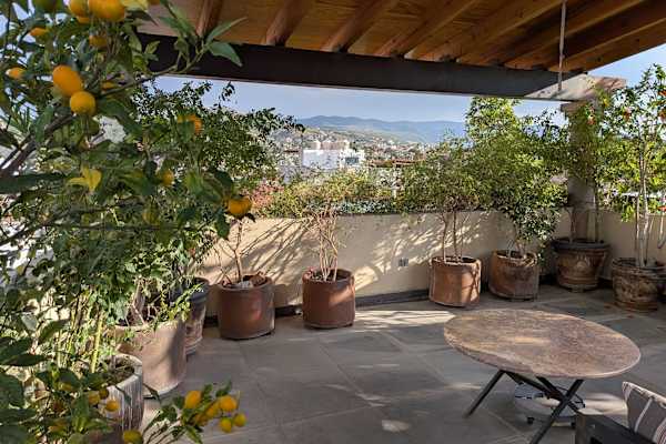 House sit in San Miguel de Allende, Mexico