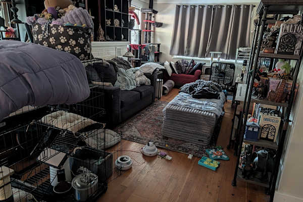 House sit in Peshastin, WA, US