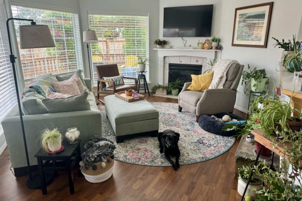 House sit in Long Beach, WA, US