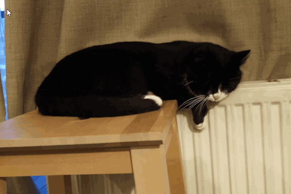 House sit in Niederau, Austria