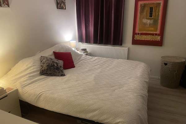 House sit in Oxford, United Kingdom