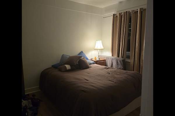 House sit in Nanaimo, BC, Canada