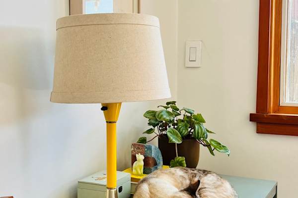 House sit in Los Feliz, CA, US