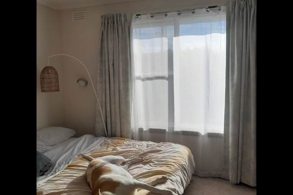 House sit in Launceston, TAS, Australia