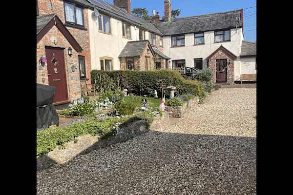 House sit in Wellington, United Kingdom