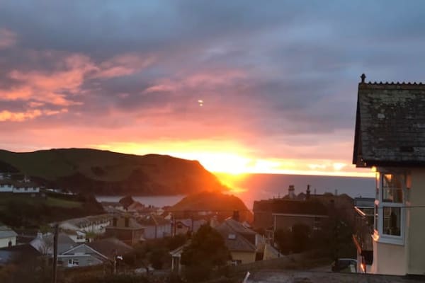 House sit in Kingsbridge, United Kingdom