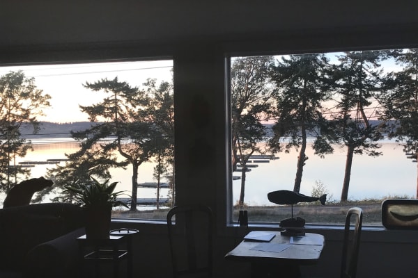 House sit in Coupeville, WA, US