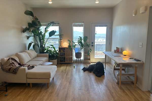 House sit in Lehi, UT, US