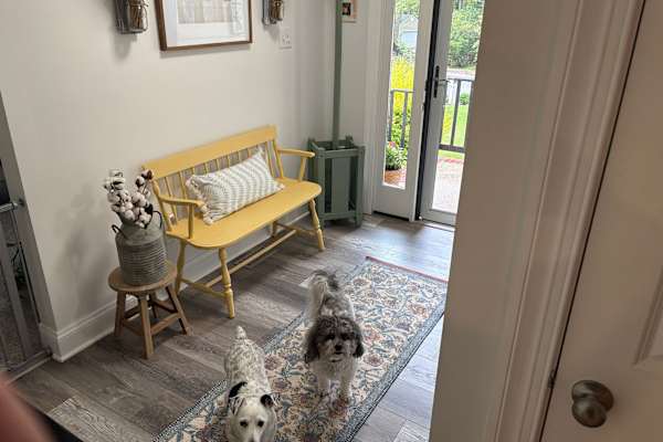 House sit in Short Pump, VA, US