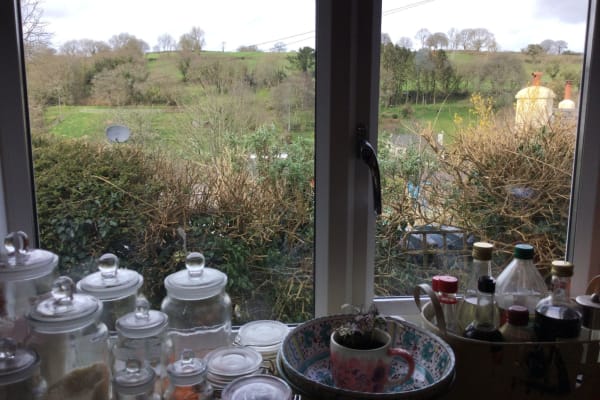 House sit in Chudleigh, United Kingdom