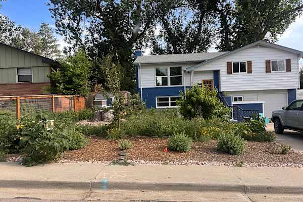 House sit in Longmont, CO, US