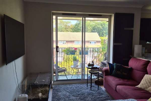 House sit in Beckenham, United Kingdom
