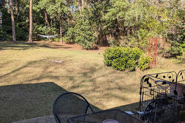 House sit in Tallahassee, FL, US
