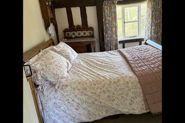 House sit in Ipswich, United Kingdom