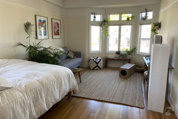 House sit in San Francisco, CA, US