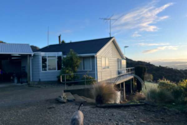 House sit in Gore, New Zealand