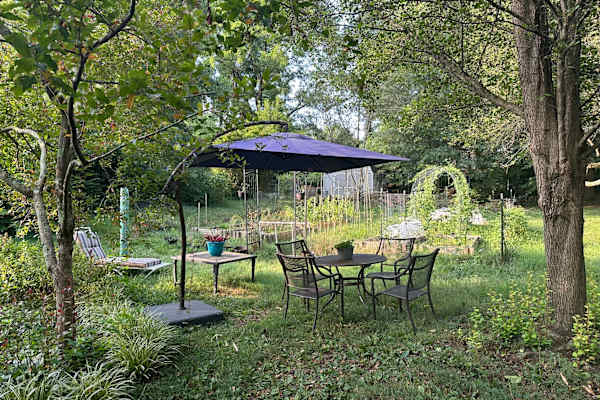 House sit in Johnson City, TN, US