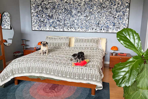 House sit in Austin, TX, US