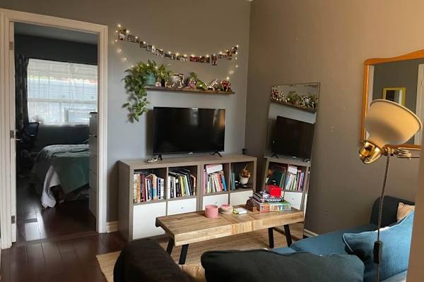 House sit in Toronto, ON, Canada