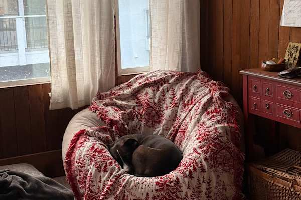 House sit in Santa Cruz, CA, US