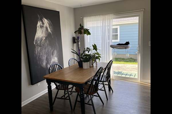 House sit in Kenosha, WI, US