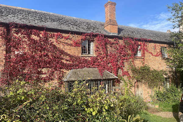 House sit in Watchet, United Kingdom