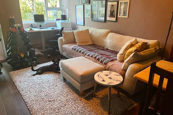 House sit in London, United Kingdom