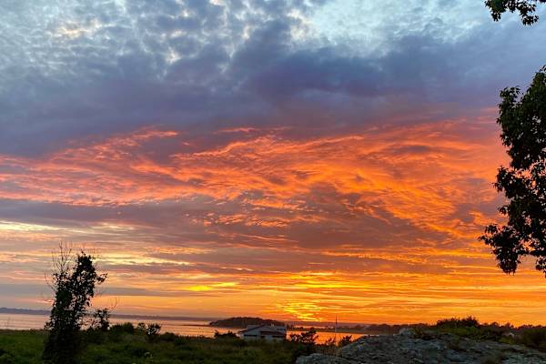 House sit in Bristol, RI, US