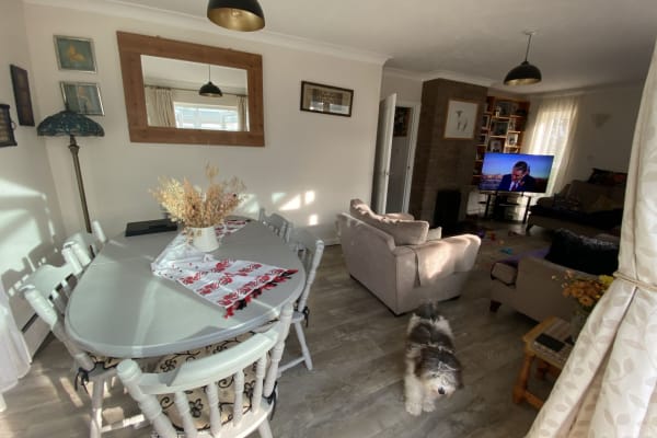 House sit in Earith, United Kingdom