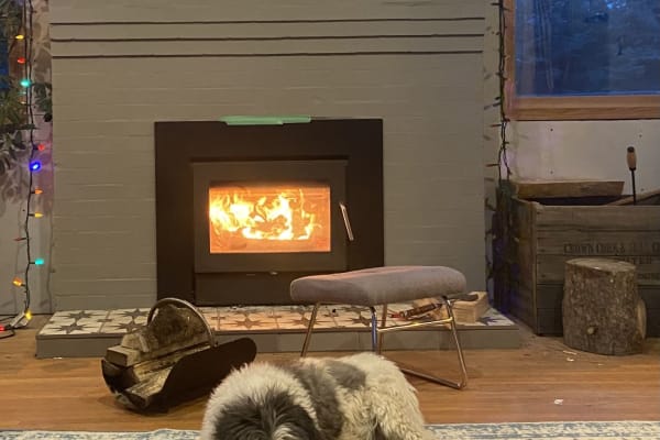 House sit in Jasper, AB, Canada
